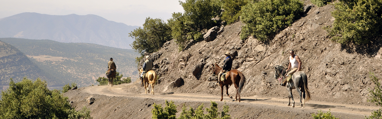 Voyage à cheval - Randonnée équestre organisée par Randocheval