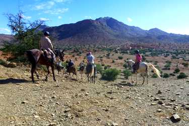 Rando Cheval - Voyage à cheval