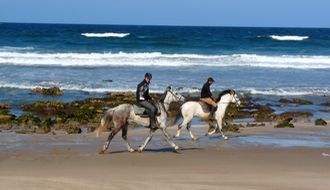 Randonnée à cheval - Un voyage Rando Cheval