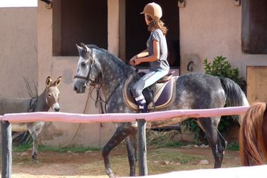Rando Cheval - Voyage à cheval