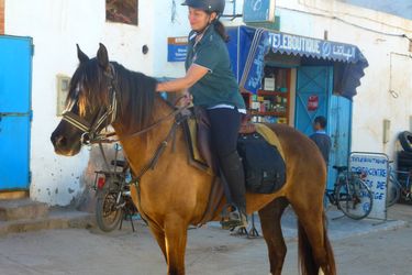 Rando Cheval - Voyage à cheval