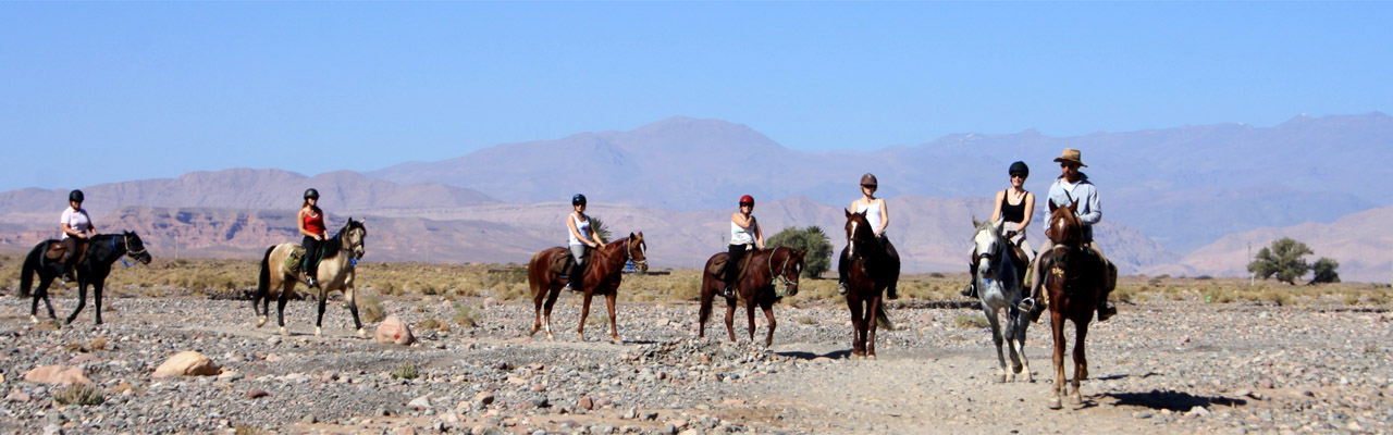 Voyage à cheval - Randonnée équestre organisée par Randocheval