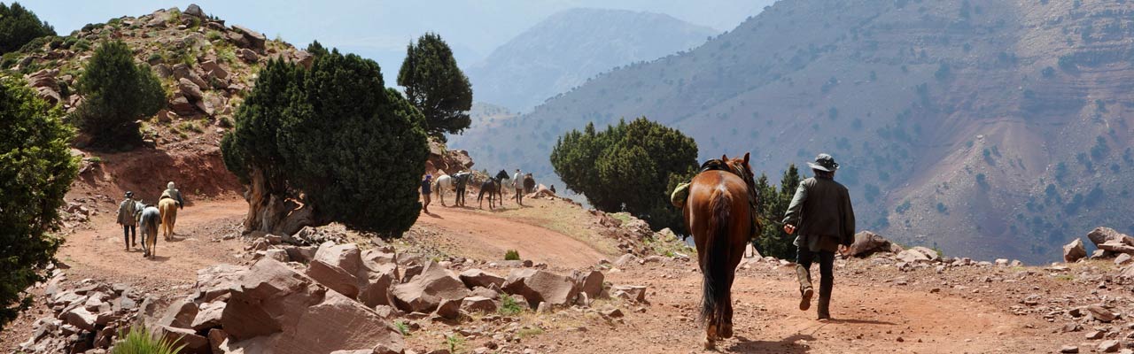 Voyage à cheval - Randonnée équestre organisée par Randocheval