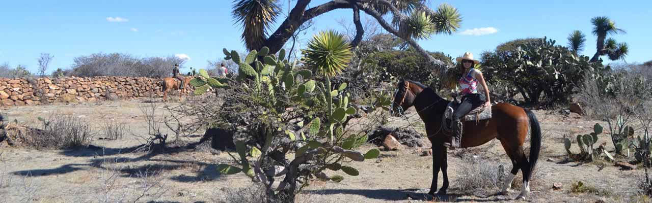 Randonner à cheval au Mexique (Amérique du Sud) - Rando Cheval / Absolu Voyages