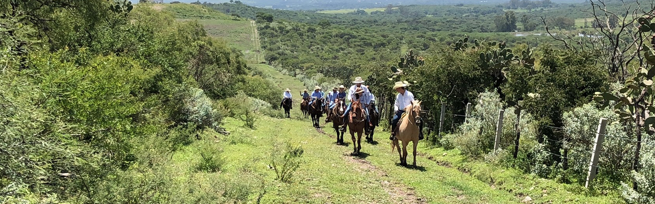 Voyage à cheval au Mexique - Randonnée équestre organisée par Randocheval