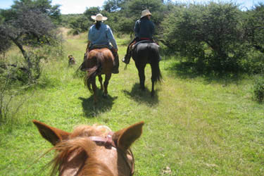 Voyage à cheval au Mexique - Randonnée équestre organisée par Randocheval