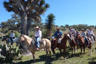 Voyage à cheval au Mexique - Randonnée équestre organisée par Randocheval