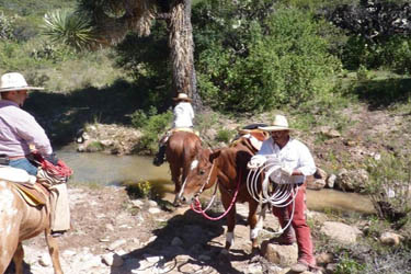 Voyage à cheval au Mexique - Randonnée équestre organisée par Randocheval