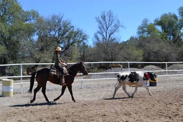 Voyage à cheval au Mexique - Randonnée équestre organisée par Randocheval