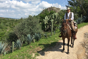 Voyage à cheval au Mexique - Randonnée équestre organisée par Randocheval