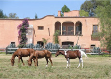 Voyage à cheval au Mexique - Randonnée équestre organisée par Randocheval