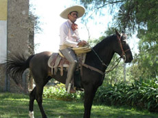 Voyage à cheval au Mexique - Randonnée équestre organisée par Randocheval