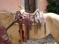 Voyage à cheval au Mexique - Randonnée équestre organisée par Randocheval