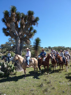 Voyage à cheval au Mexique - Randonnée équestre organisée par Randocheval