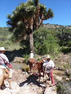 Voyage à cheval au Mexique - Randonnée équestre organisée par Randocheval