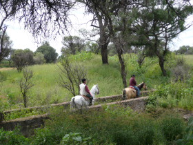 Album photos et carnet de voyage de notre randonnée équestre en haciendas historiques de luxe au Mexique (Amérique du Nord) - Rando Cheval / Absolu Voyages