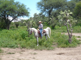 Album photos et carnet de voyage de notre randonnée équestre en haciendas historiques de luxe au Mexique (Amérique du Nord) - Rando Cheval / Absolu Voyages