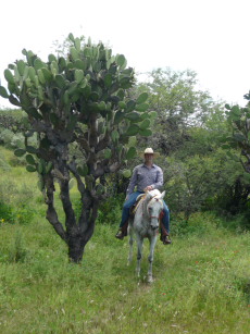 Album photos et carnet de voyage de notre randonnée équestre en haciendas historiques de luxe au Mexique (Amérique du Nord) - Rando Cheval / Absolu Voyages