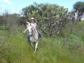 Album photos et carnet de voyage de notre randonnée équestre en haciendas historiques de luxe au Mexique (Amérique du Nord) - Rando Cheval / Absolu Voyages