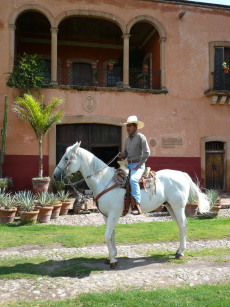 Album photos et carnet de voyage de notre randonnée équestre en haciendas historiques de luxe au Mexique (Amérique du Nord) - Rando Cheval / Absolu Voyages