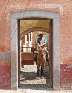 Album photos et carnet de voyage de notre randonnée équestre en haciendas historiques de luxe au Mexique (Amérique du Nord) - Rando Cheval / Absolu Voyages