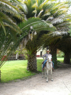 Album photos et carnet de voyage de notre randonnée équestre en haciendas historiques de luxe au Mexique (Amérique du Nord) - Rando Cheval / Absolu Voyages