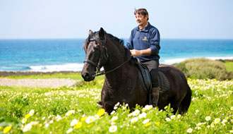 Cheval Minorquin à Minorque - RANDOCHEVAL