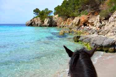 Voyage à cheval aux Baléares à Minorque - Randonnée équestre organisée par Randocheval