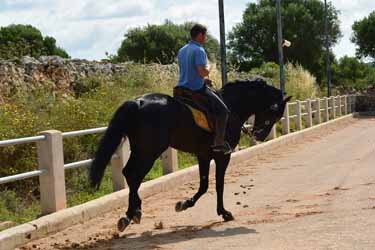 Voyage à cheval aux Baléares à Minorque - Randonnée équestre organisée par Randocheval