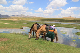 Photos de notre randonnée équestre confort sous la yourte en Mongolie : Khustai et les chevaux de Przewalski, Khogno Khan, le Mini Gobi, la Vallée de l'Orkhon, le lac d'Ogii, Karakorum... (Randocheval / Absolu Voyages)