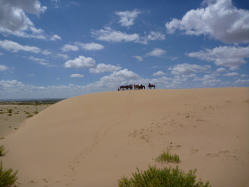 Photos de notre randonnée équestre confort sous la yourte en Mongolie : Khustai et les chevaux de Przewalski, Khogno Khan, le Mini Gobi, la Vallée de l'Orkhon, le lac d'Ogii, Karakorum... (Randocheval / Absolu Voyages)