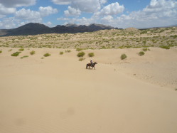 Photos de notre randonnée équestre confort sous la yourte en Mongolie : Khustai et les chevaux de Przewalski, Khogno Khan, le Mini Gobi, la Vallée de l'Orkhon, le lac d'Ogii, Karakorum... (Randocheval / Absolu Voyages)