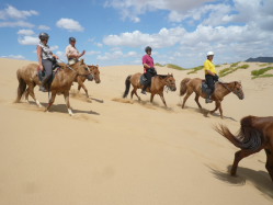 Photos de notre randonnée équestre confort sous la yourte en Mongolie : Khustai et les chevaux de Przewalski, Khogno Khan, le Mini Gobi, la Vallée de l'Orkhon, le lac d'Ogii, Karakorum... (Randocheval / Absolu Voyages)