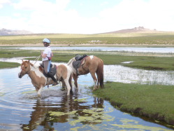 Photos de notre randonnée équestre confort sous la yourte en Mongolie : Khustai et les chevaux de Przewalski, Khogno Khan, le Mini Gobi, la Vallée de l'Orkhon, le lac d'Ogii, Karakorum... (Randocheval / Absolu Voyages)