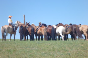 Photos de notre randonnée confort sous la yourte en Mongolie : Khustai et les chevaux de Przewalski, Khogno Khan, le Mini Gobi, la Vallée de l'Orkhon, le lac d'Ogii, Karakorum... (Randocheval / Absolu Voyages)