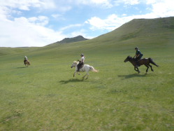 Photos de notre randonnée confort sous la yourte en Mongolie : Khustai et les chevaux de Przewalski, Khogno Khan, le Mini Gobi, la Vallée de l'Orkhon, le lac d'Ogii, Karakorum... (Randocheval / Absolu Voyages)