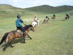 Photos de notre randonnée confort sous la yourte en Mongolie : Khustai et les chevaux de Przewalski, Khogno Khan, le Mini Gobi, la Vallée de l'Orkhon, le lac d'Ogii, Karakorum... (Randocheval / Absolu Voyages)