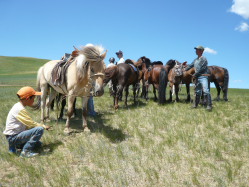 Photos de notre randonnée équestre confort sous la yourte en Mongolie : Khustai et les chevaux de Przewalski, Khogno Khan, le Mini Gobi, la Vallée de l'Orkhon, le lac d'Ogii, Karakorum... (Randocheval / Absolu Voyages)