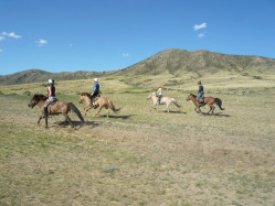 Photos de notre randonnée confort sous la yourte en Mongolie : Khustai et les chevaux de Przewalski, Khogno Khan, le Mini Gobi, la Vallée de l'Orkhon, le lac d'Ogii, Karakorum... (Randocheval / Absolu Voyages)