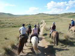 Photos de notre randonnée équestre confort sous la yourte en Mongolie : Khustai et les chevaux de Przewalski, Khogno Khan, le Mini Gobi, la Vallée de l'Orkhon, le lac d'Ogii, Karakorum... (Randocheval / Absolu Voyages)