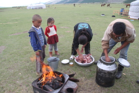 Photos de notre randonnée équestre confort sous la yourte en Mongolie : Khustai et les chevaux de Przewalski, Khogno Khan, le Mini Gobi, la Vallée de l'Orkhon, le lac d'Ogii, Karakorum... (Randocheval / Absolu Voyages)