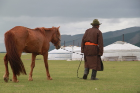 Photos de notre randonnée équestre confort sous la yourte en Mongolie : Khustai et les chevaux de Przewalski, Khogno Khan, le Mini Gobi, la Vallée de l'Orkhon, le lac d'Ogii, Karakorum... (Randocheval / Absolu Voyages)