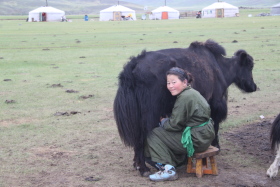 Photos de notre randonnée équestre confort sous la yourte en Mongolie : Khustai et les chevaux de Przewalski, Khogno Khan, le Mini Gobi, la Vallée de l'Orkhon, le lac d'Ogii, Karakorum... (Randocheval / Absolu Voyages)