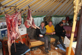 Photos de notre randonnée équestre confort sous la yourte en Mongolie : Khustai et les chevaux de Przewalski, Khogno Khan, le Mini Gobi, la Vallée de l'Orkhon, le lac d'Ogii, Karakorum... (Randocheval / Absolu Voyages)