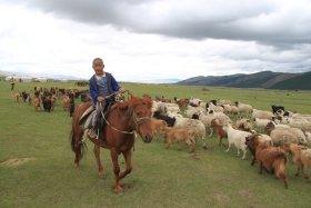 Photos de notre randonnée équestre confort sous la yourte en Mongolie : Khustai et les chevaux de Przewalski, Khogno Khan, le Mini Gobi, la Vallée de l'Orkhon, le lac d'Ogii, Karakorum... (Randocheval / Absolu Voyages)