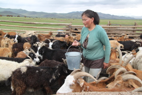 Photos de notre randonnée équestre confort sous la yourte en Mongolie : Khustai et les chevaux de Przewalski, Khogno Khan, le Mini Gobi, la Vallée de l'Orkhon, le lac d'Ogii, Karakorum... (Randocheval / Absolu Voyages)