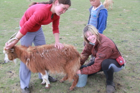 Photos de notre randonnée équestre confort sous la yourte en Mongolie : Khustai et les chevaux de Przewalski, Khogno Khan, le Mini Gobi, la Vallée de l'Orkhon, le lac d'Ogii, Karakorum... (Randocheval / Absolu Voyages)