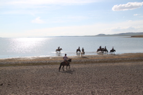 Photos de notre randonnée équestre confort sous la yourte en Mongolie : Khustai et les chevaux de Przewalski, Khogno Khan, le Mini Gobi, la Vallée de l'Orkhon, le lac d'Ogii, Karakorum... (Randocheval / Absolu Voyages)