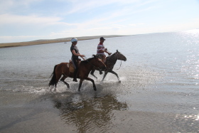 Photos de notre randonnée équestre confort sous la yourte en Mongolie : Khustai et les chevaux de Przewalski, Khogno Khan, le Mini Gobi, la Vallée de l'Orkhon, le lac d'Ogii, Karakorum... (Randocheval / Absolu Voyages)