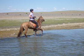 Photos de notre randonnée équestre confort sous la yourte en Mongolie : Khustai et les chevaux de Przewalski, Khogno Khan, le Mini Gobi, la Vallée de l'Orkhon, le lac d'Ogii, Karakorum... (Randocheval / Absolu Voyages)